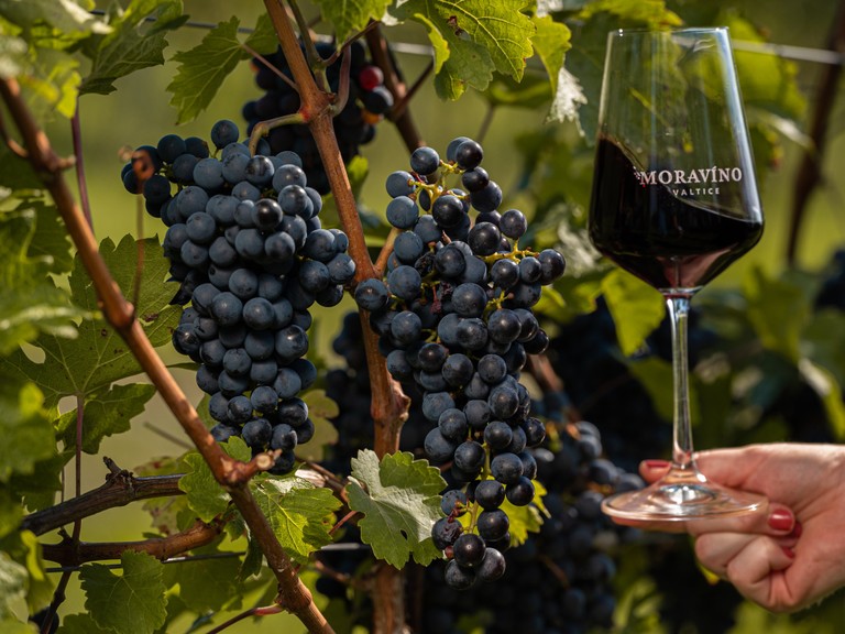 Tip na vánoční dárek