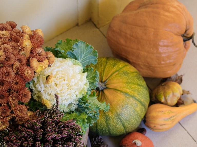 Goose Feast and Saint Martin’s Day